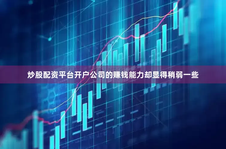 炒股配资平台开户公司的赚钱能力却显得稍弱一些