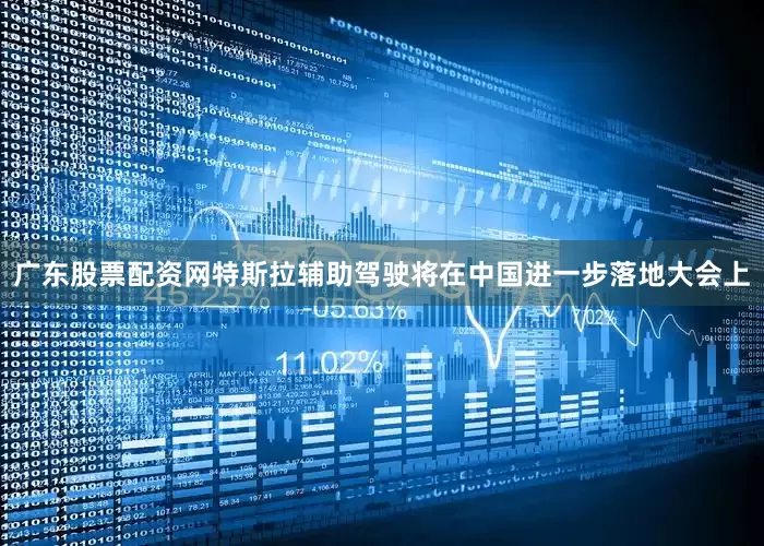 广东股票配资网特斯拉辅助驾驶将在中国进一步落地大会上