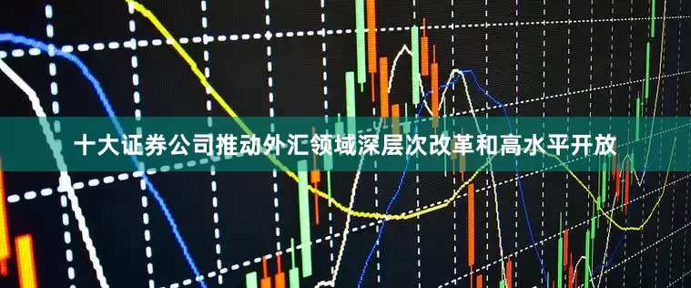 十大证券公司推动外汇领域深层次改革和高水平开放