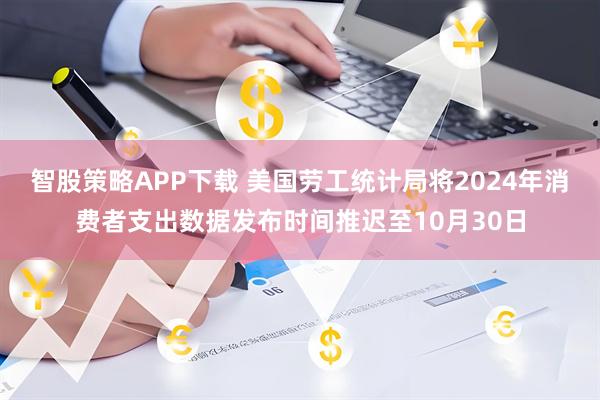 智股策略APP下载 美国劳工统计局将2024年消费者支出数据发布时间推迟至10月30日
