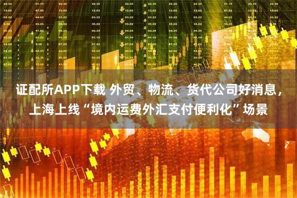 证配所APP下载 外贸、物流、货代公司好消息,上海上线“境内运费外汇支付便利化”场景