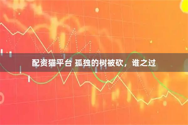 配资猫平台 孤独的树被砍,谁之过